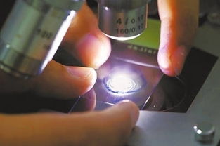 神奇發(fā)酵劑 生物制品的創(chuàng)新引擎與應(yīng)用前景