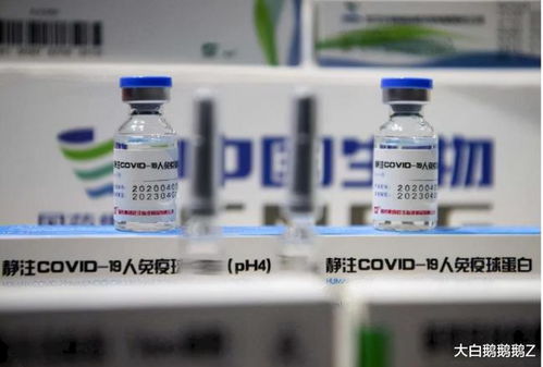 國(guó)藥疫苗認(rèn)證遲滯，澳大利亞留學(xué)經(jīng)濟(jì)蒙受重創(chuàng)